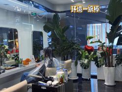 -时尚殿堂salon