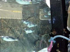 -成都浩海立方海洋公园