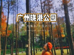 -晓港公园