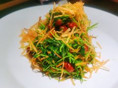 巧拌豆苗-四季民福烤鸭店(西单华威约饭街店)