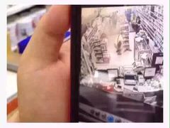 盛京一禾-盛京一禾