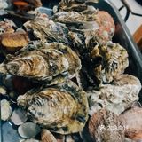 山东青岛美食