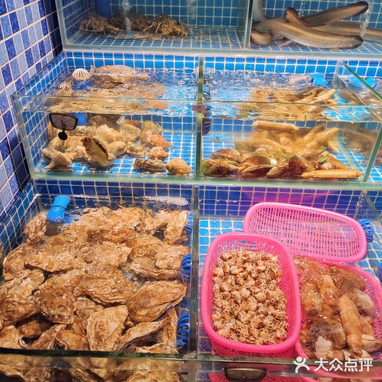 海鲜烧烤,现捞现烤,就在五羊‼️