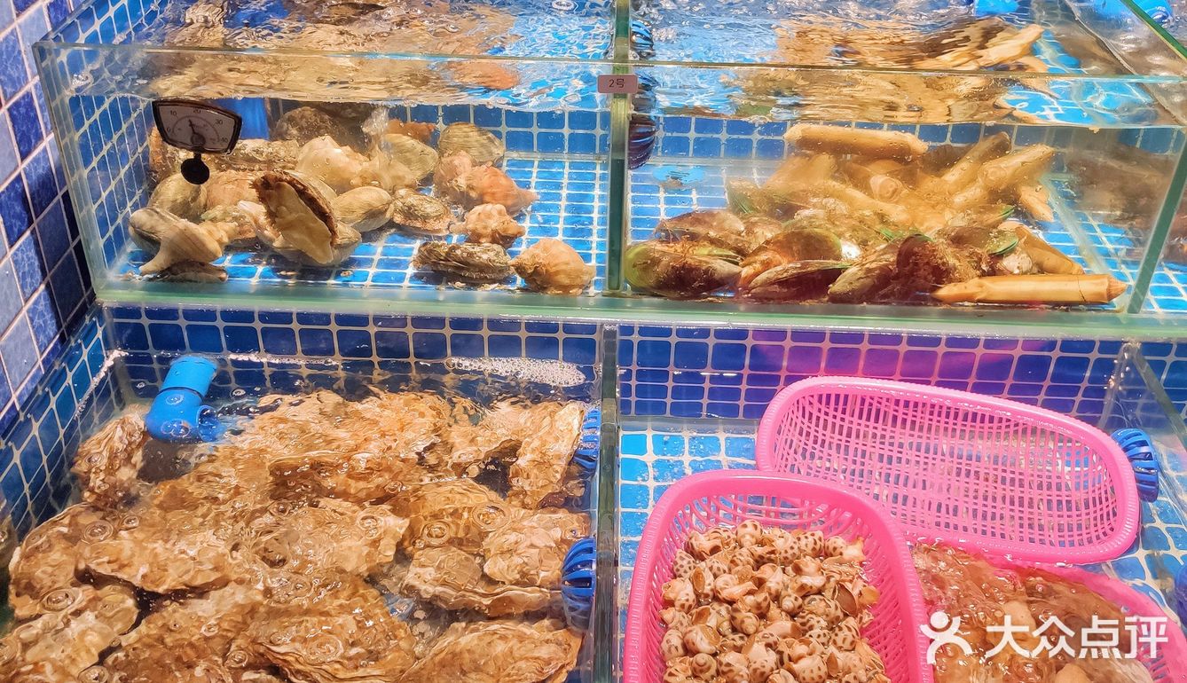 海鲜烧烤，现捞现烤，就在五羊‼️ 