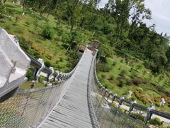 -东莞植物园