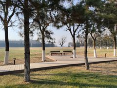 -汉长安城未央宫国家考古遗址公园