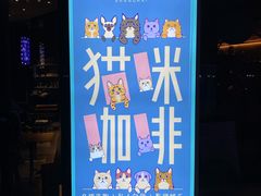 -飞行喵MR PILOT|猫舍·猫咖(静安大融城店)