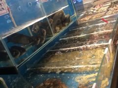 -老万烧烤(典逸心洲店)