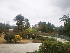 -铁山坪森林公园