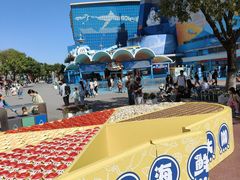 -海合安青岛极地海洋公园