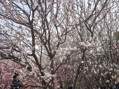 -堤角公园