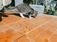 -一江春水·杭帮臻宴(三台山店)