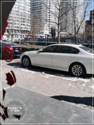 -木北造型