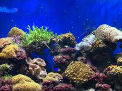 -海合安成都极地海洋公园
