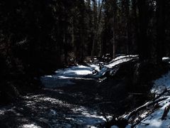 -白马王朗自然风景区