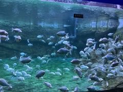 -蓬莱欧乐堡海洋极地世界