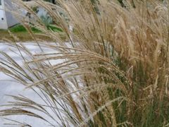 -怡海公园(桂城街道)