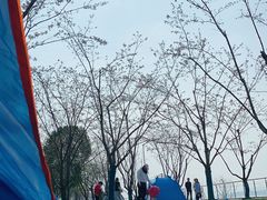 -幕燕滨江·燕子矶公园