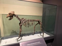 -大庆市博物馆