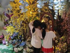 -正佳雨林生态植物园