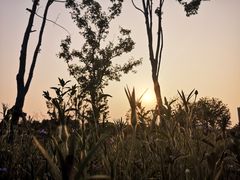 -肯德基(昌里店)