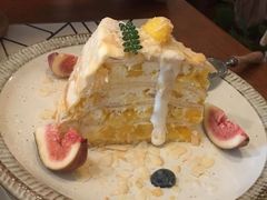 芒果千层-懒鱼时光馆(沙坪坝店)