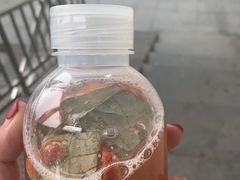 -炖物24章·顺时轻养茶(杭州保利时光里店)