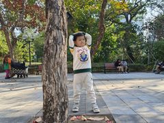 -九龙公园