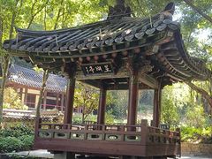 -晓港公园