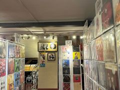 -树懒黑胶唱片店(中山路店)