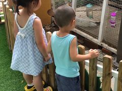 -乐融婴幼儿成长中心(四季青校区)