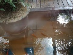 -旅马餐厅(茅家埠店)