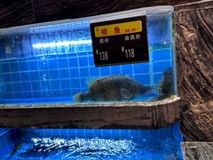 -阿娘家·原生态农家菜(国顺东路店)