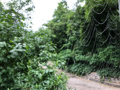 景点-阳台山自然风景区