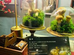 -原牛道·潮汕围炉火锅(讯美店)