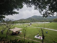 -风云岭森林公园