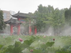-四川大学(望江校区)