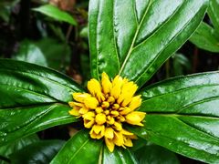 -铁山坪森林公园