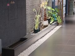 -帝京日语(春熙路旗舰校区)