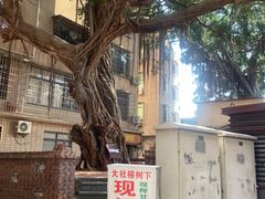 -联生老店(集美店)