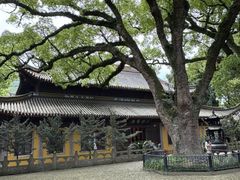 -阿育王寺