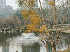 -重庆彩云湖湿地公园