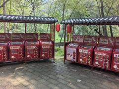 -大岭沟猕猴桃谷风景区