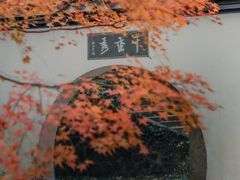 -宋宴(虎跑店)