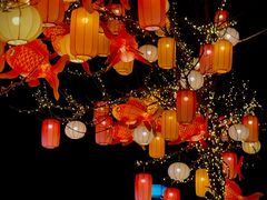 -龙湖星悦荟(颐和店)