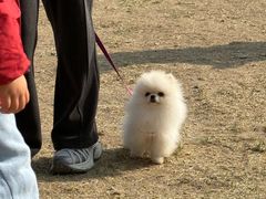 -小意思咖啡店(草桥店)