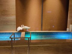 -长沙富力万达文华酒店