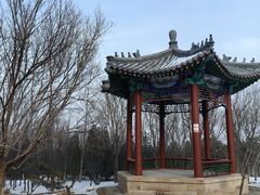 -北京凤凰岭