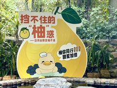 -厦门日月谷温泉渡假村