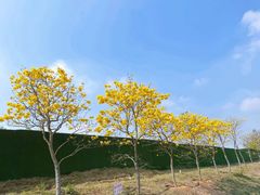 -合浦汉代文化博物馆